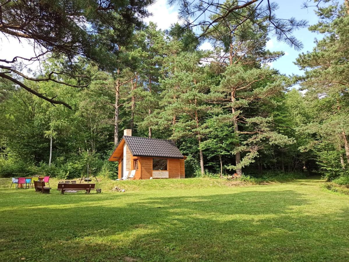 Survivalowa Chata W Lesie Bukowsko Exterior foto